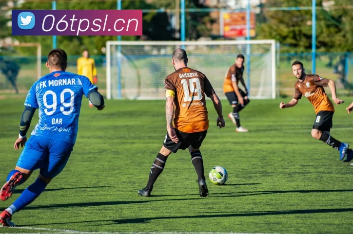 云开体app登录入口发展历程